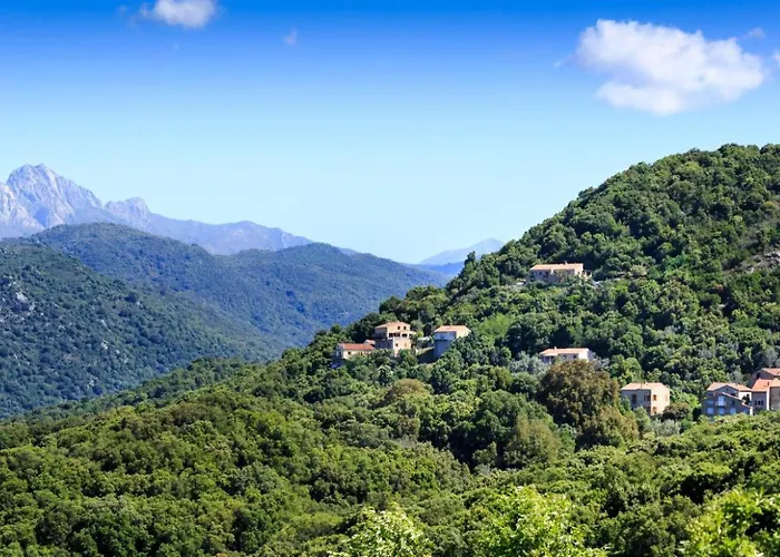 Occhinello Propriano (Corsica)